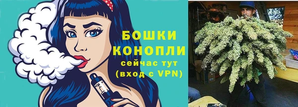 спайс Мегион