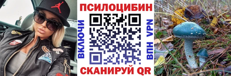 Псилоцибиновые грибы MAGIC MUSHROOMS  ОМГ ОМГ зеркало  Суровикино 